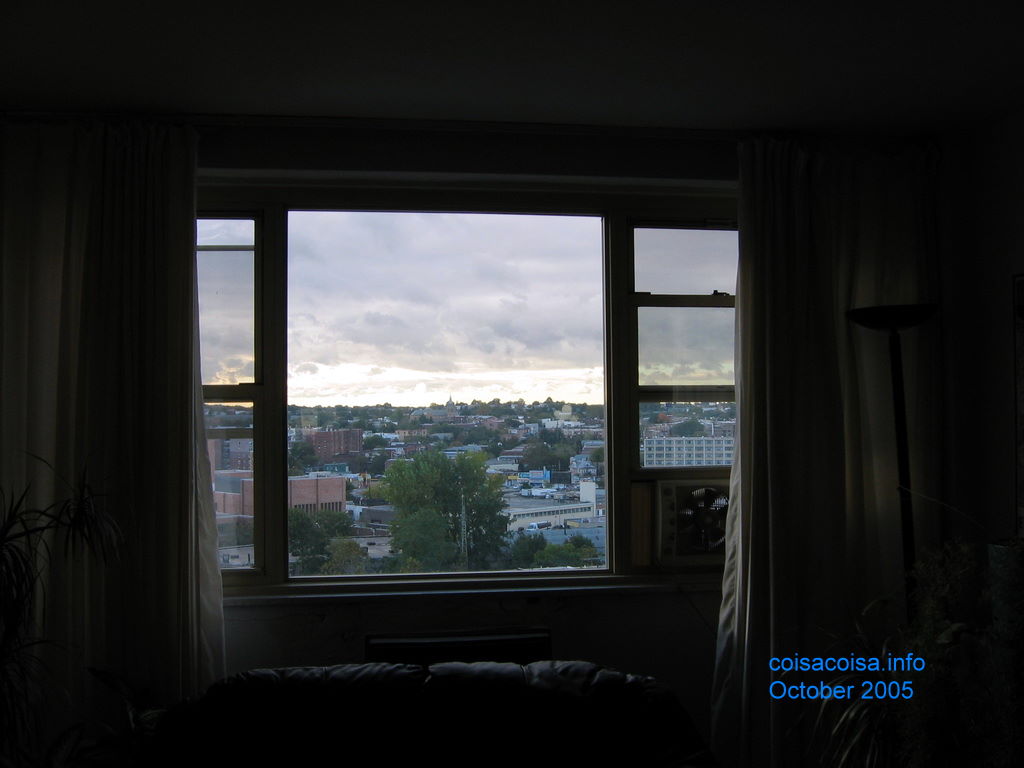 Out the Windows on Halloween in New York